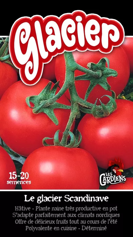 Semences de tomates Glacier