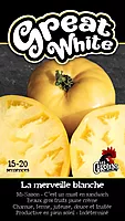 Semence de tomates great white