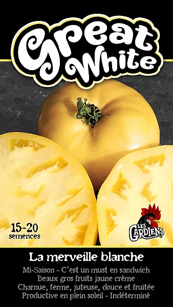 Semence de tomates great white