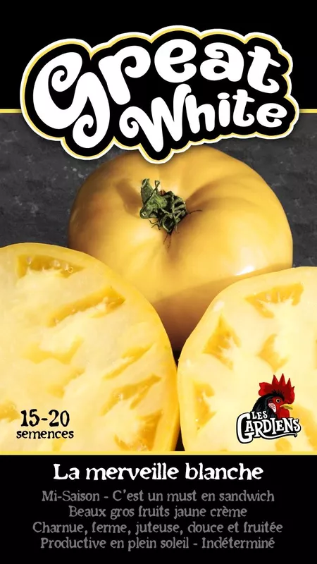 Semence de tomates great white