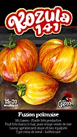 Semences de tomates Kozula 141