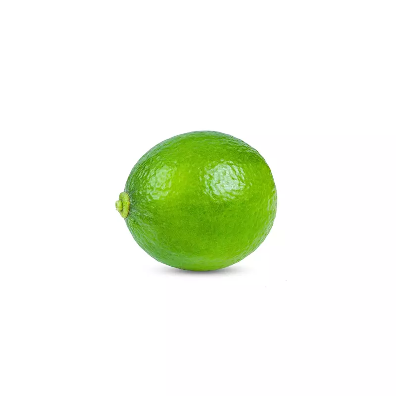 Lime – Fresh