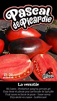 Semences de tomates Pascal de picardie