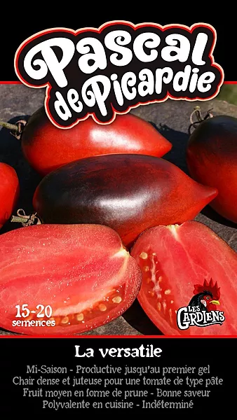 Semences de tomates Pascal de picardie