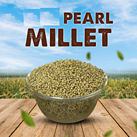 Kambu Pearl Millet  1 Kg