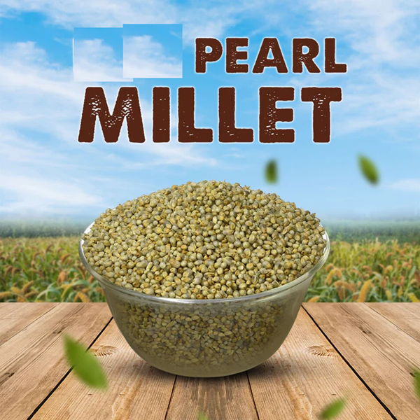Kambu Pearl Millet  1 Kg