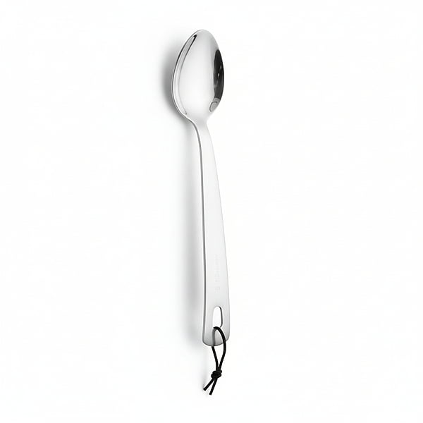 Serving Spoon SS Large