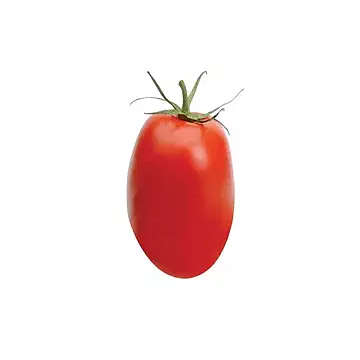 Fresh Roma Tomato