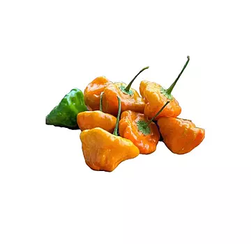 Fresh Habanero Pepper (Scotch Bonnet)