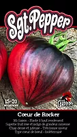 Semences de tomates sgt.pepper