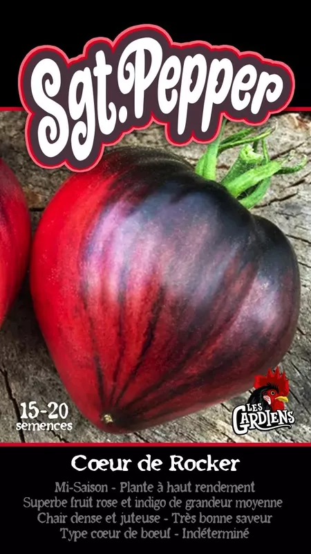 Semences de tomates sgt.pepper