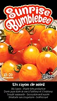 Semences de tomates Sunrise Bumblebee