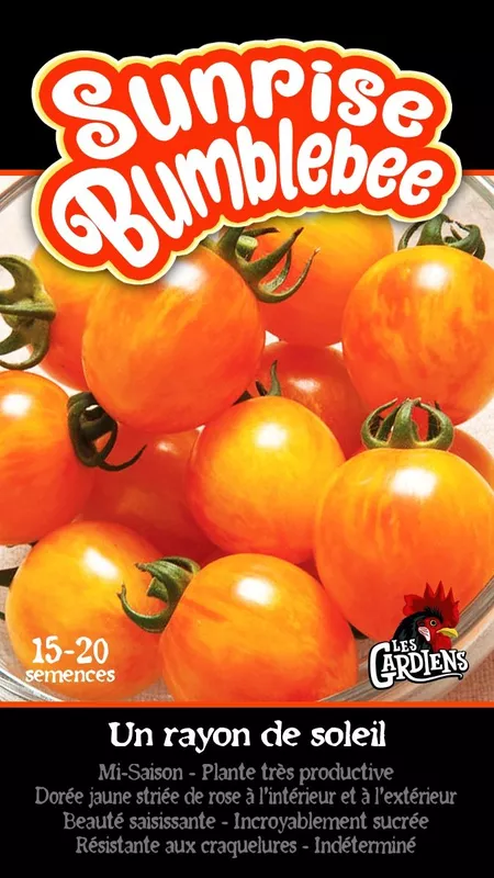 Semences de tomates Sunrise Bumblebee