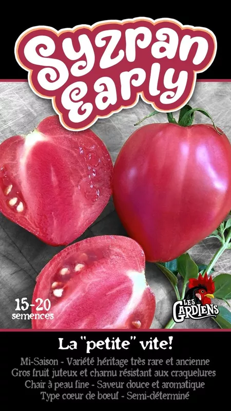Semences de tomates Syzran Early