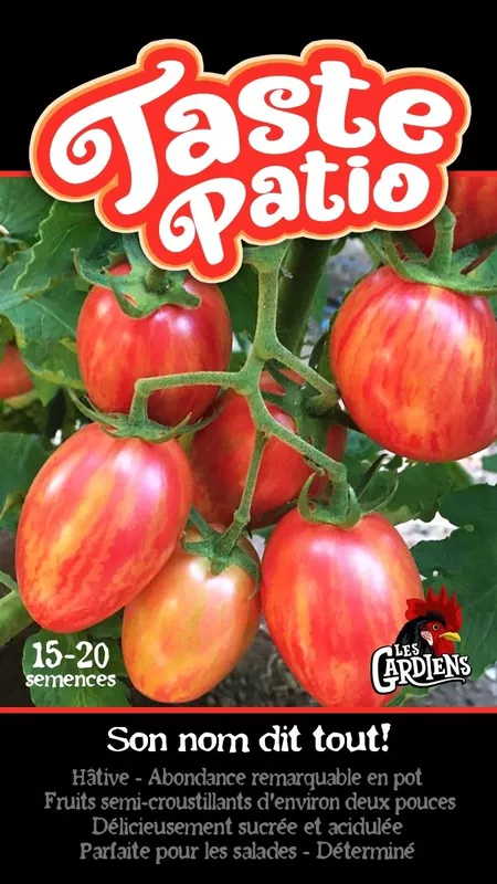 Semences de tomates Taste patio