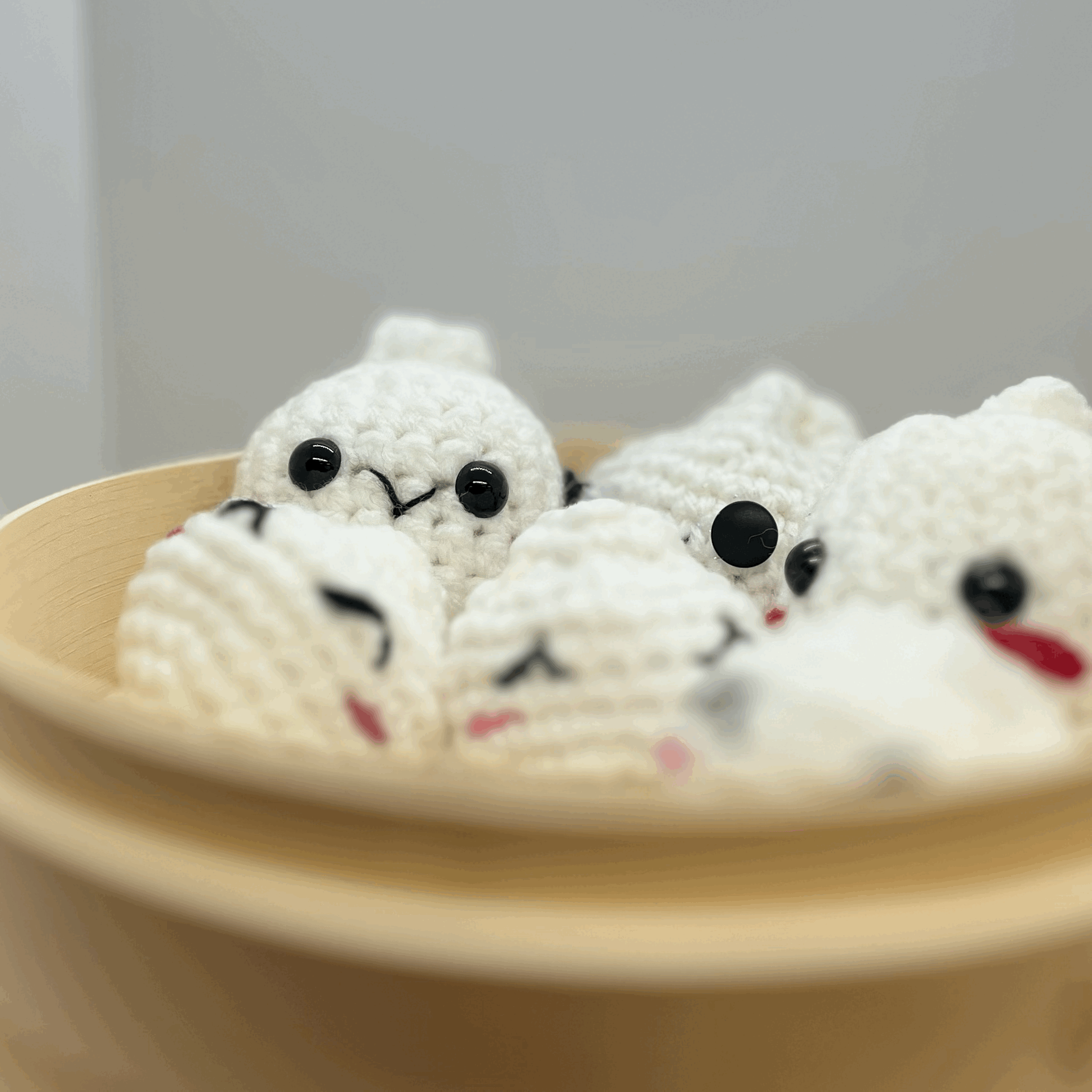 HF Bao Family