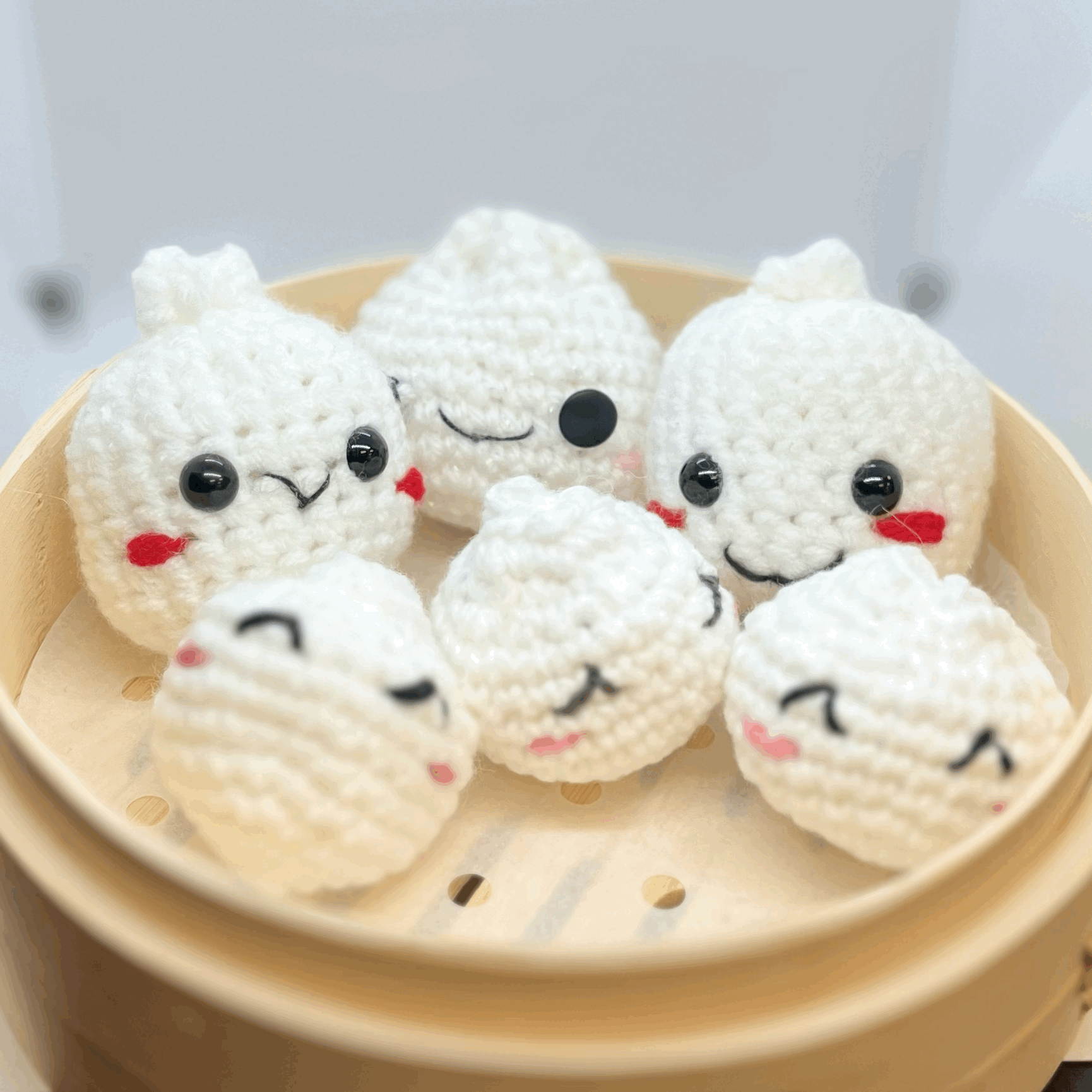 HF Bao Family