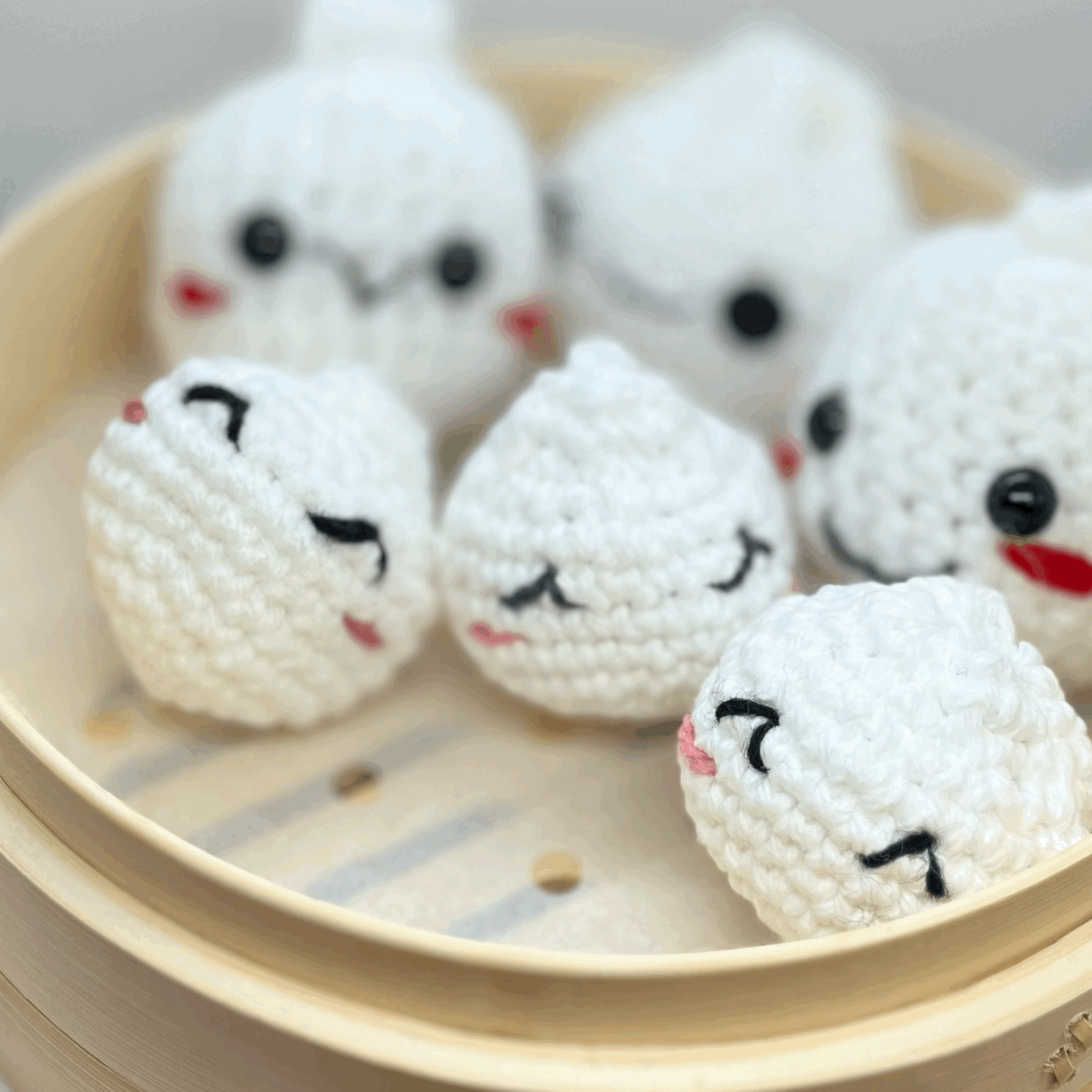 HF Bao Family