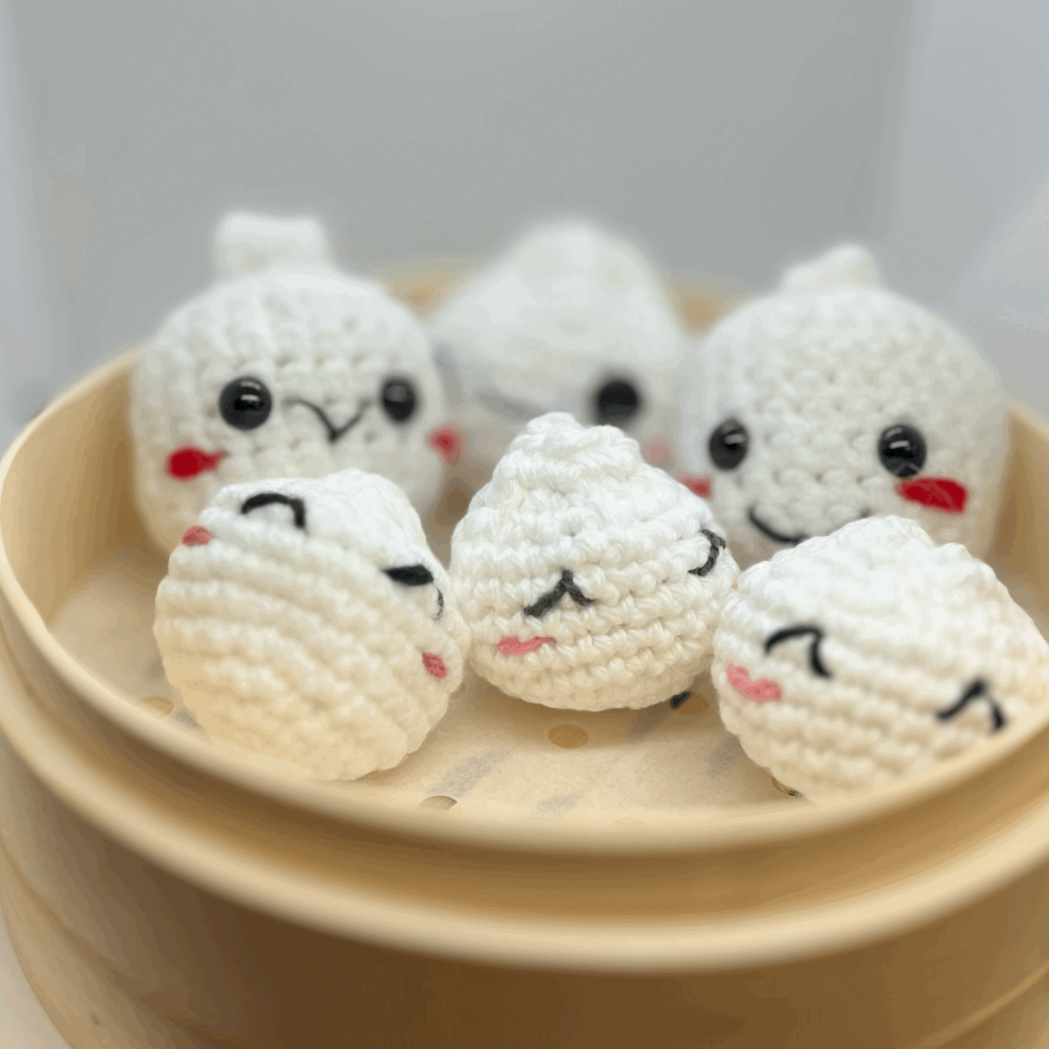 HF Bao Family