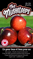 Semences de tomates The musketeers