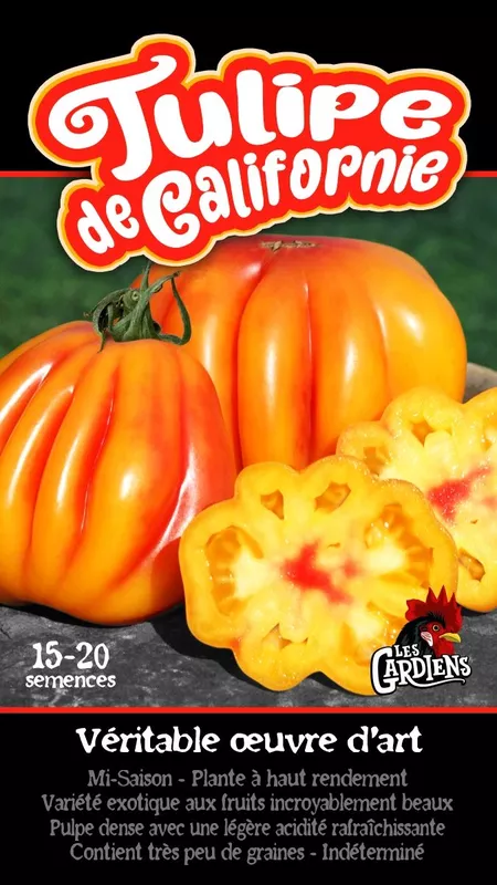 Semences de tomates Tulipe de californie