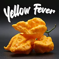 Semences de piments YELLOW FEVER